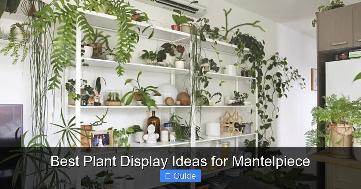 Best Plant Display Ideas for Mantelpiece