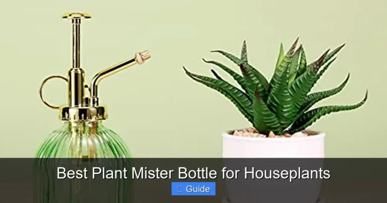 Best Plant Mister Bottle for Houseplants