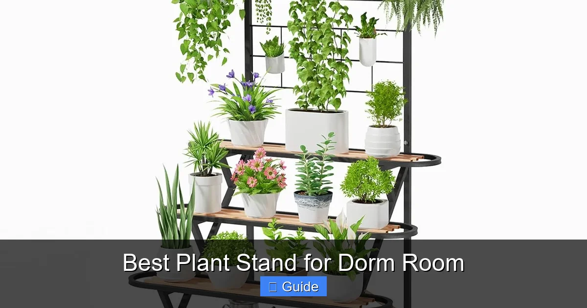 Best Plant Stand for Dorm Room