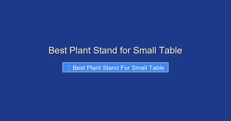 Best Plant Stand for Small Table