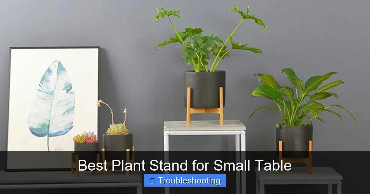 Best Plant Stand for Small Table