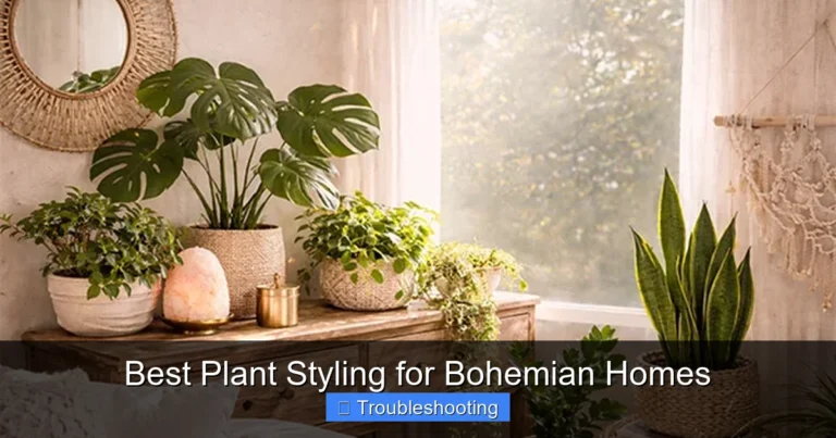 Best Plant Styling for Bohemian Homes