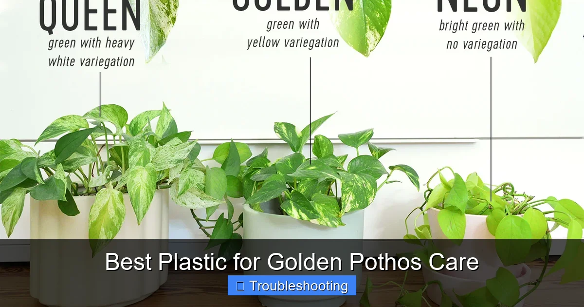Best Plastic for Golden Pothos Care