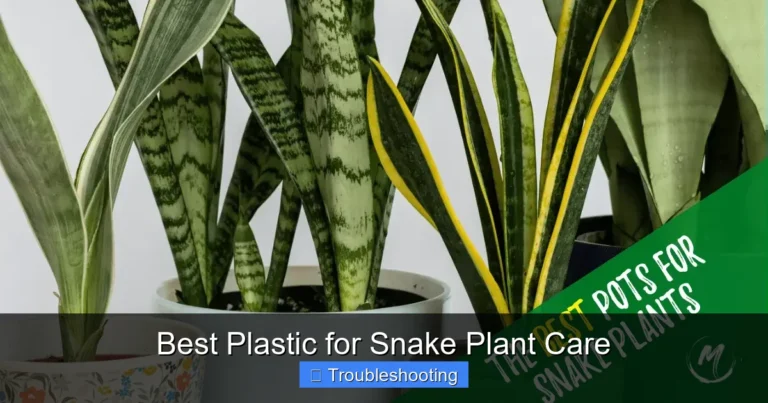 Best Plastic for Snake Plant Care