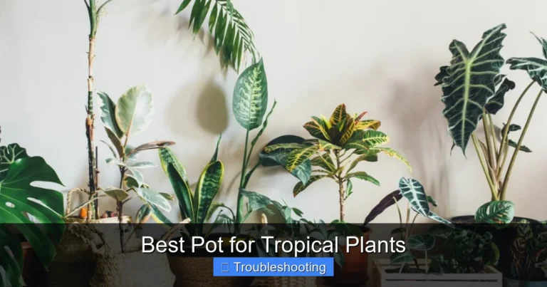 Best Pot for Tropical Plants
