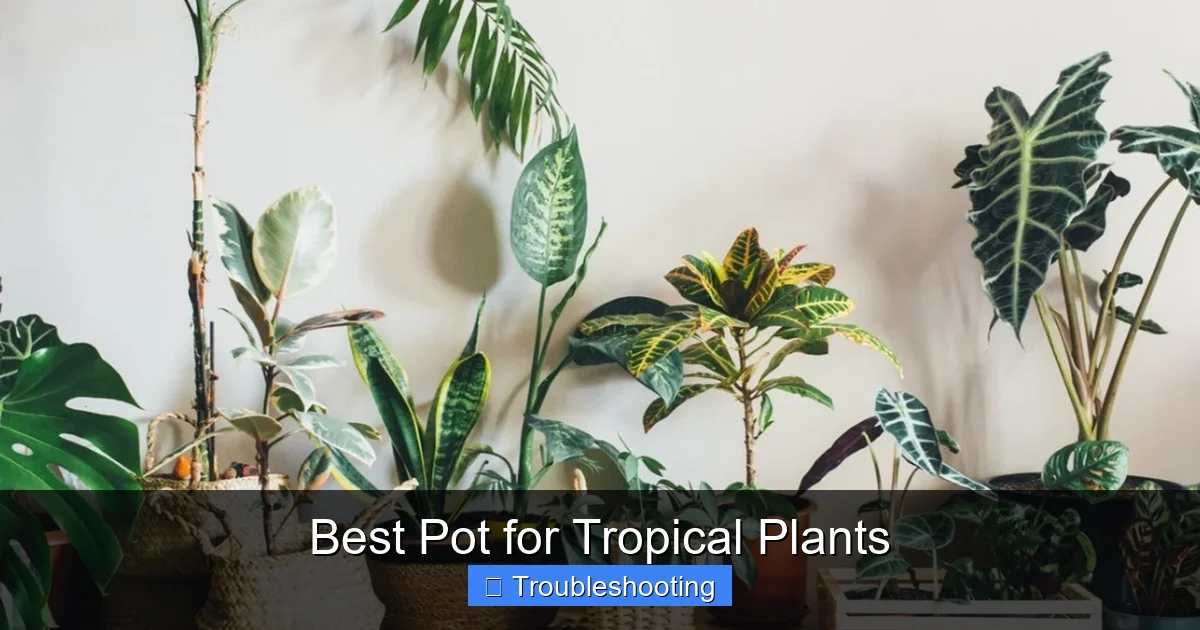 Best Pot for Tropical Plants
