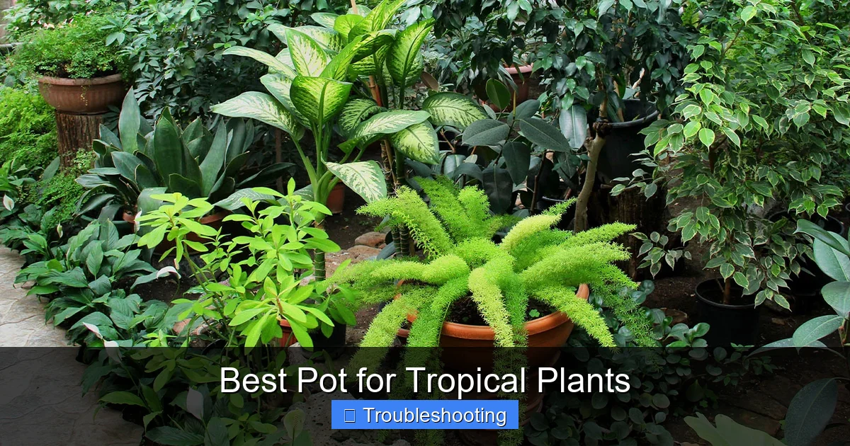 Best Pot for Tropical Plants