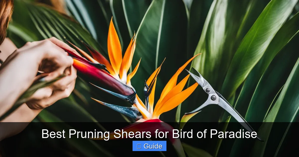 Best Pruning Shears for Bird of Paradise