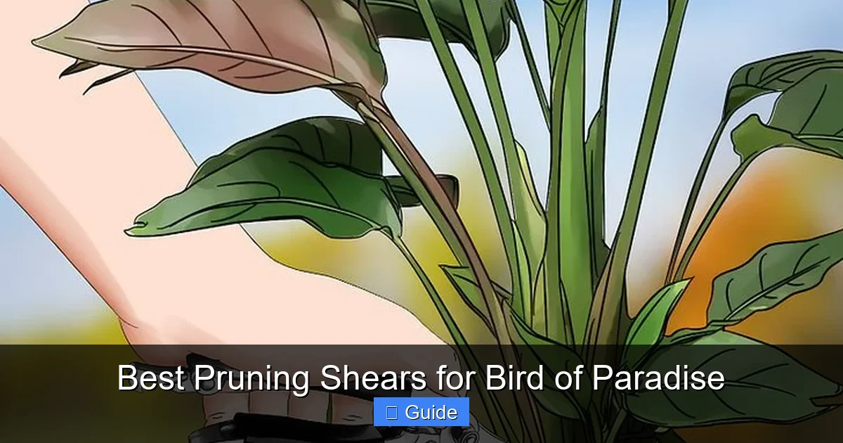 Best Pruning Shears for Bird of Paradise