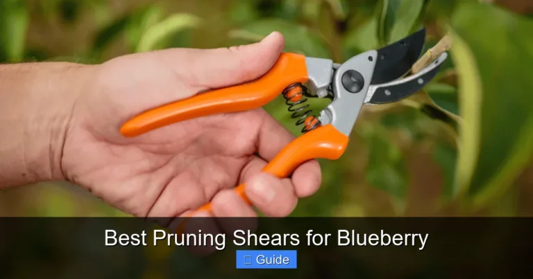 Best Pruning Shears for Blueberry