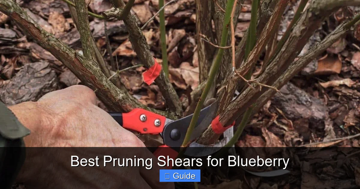 Best Pruning Shears for Blueberry