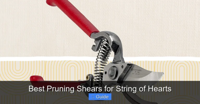 Best Pruning Shears for String of Hearts