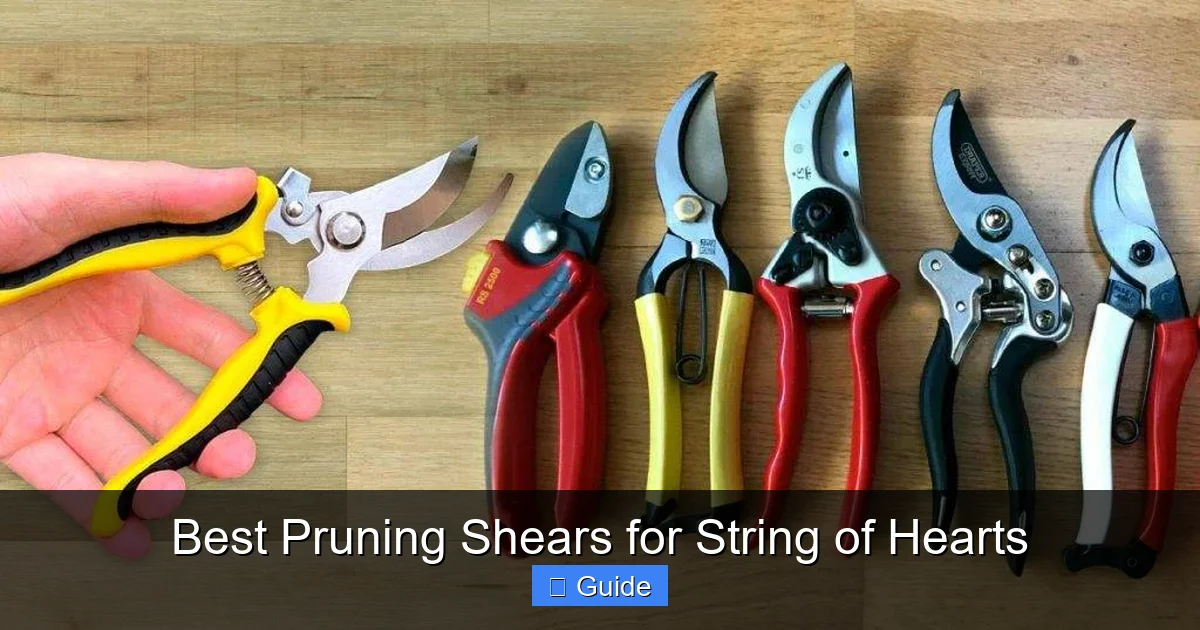 Best Pruning Shears for String of Hearts