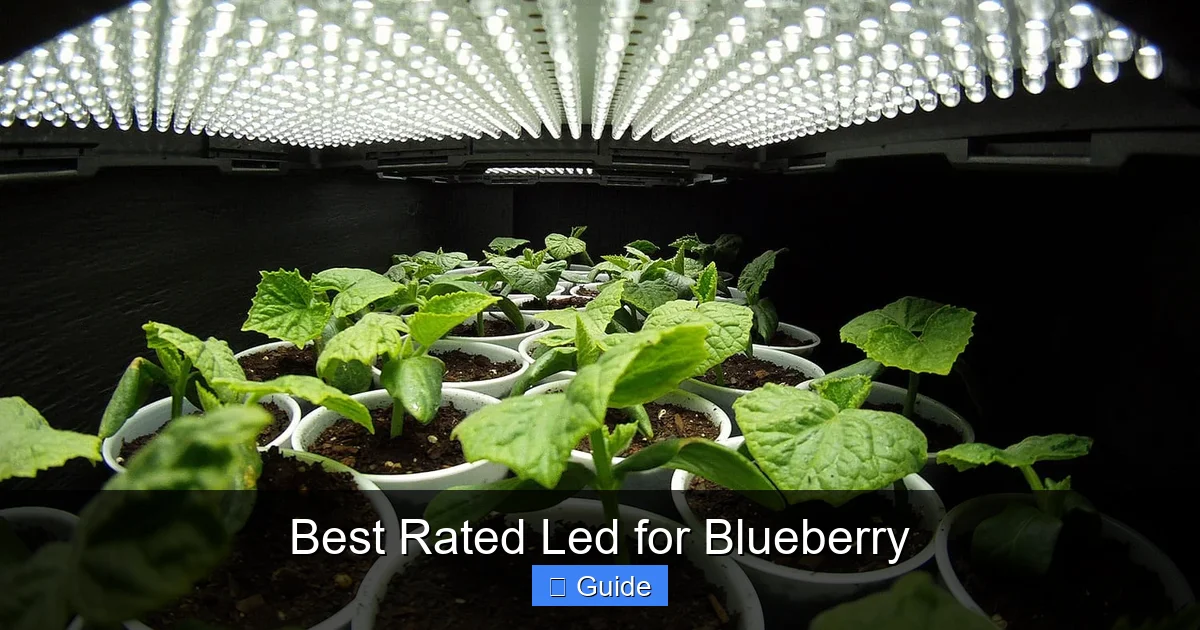 Best Rated Led for Blueberry