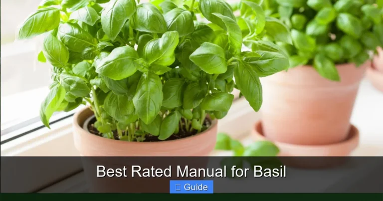 Best Rated Manual for Basil