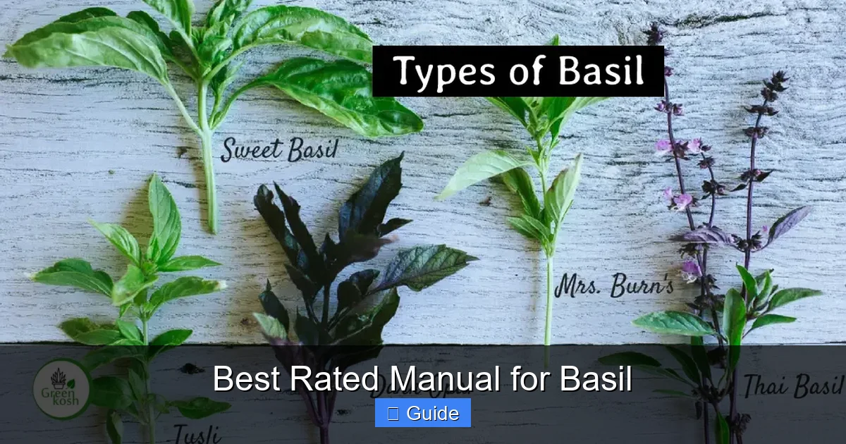 Best Rated Manual for Basil