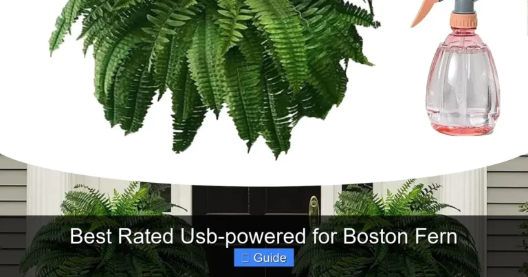 Best Rated Usb-powered for Boston Fern