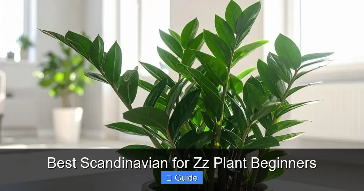 Best Scandinavian for Zz Plant Beginners