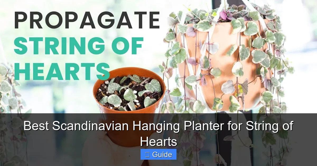 Best Scandinavian Hanging Planter for String of Hearts