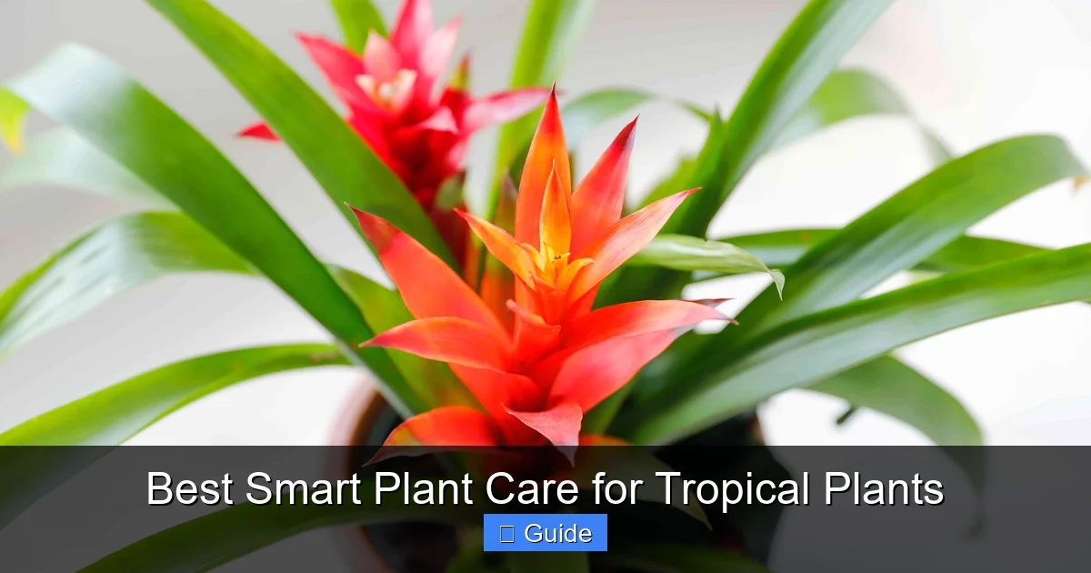 Best Smart Plant Care for Tropical Plants