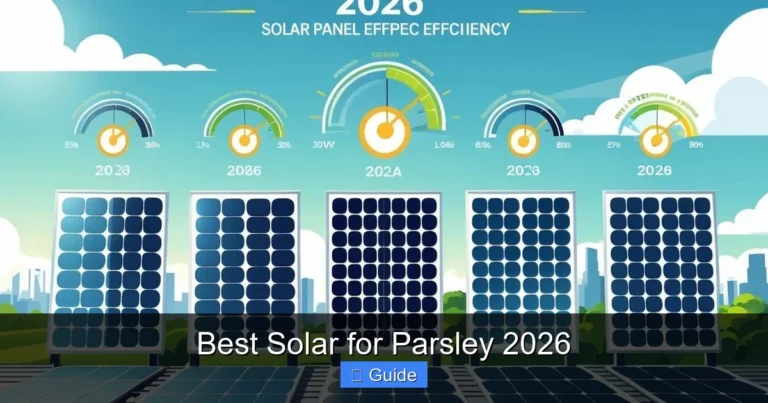 Best Solar for Parsley 2026