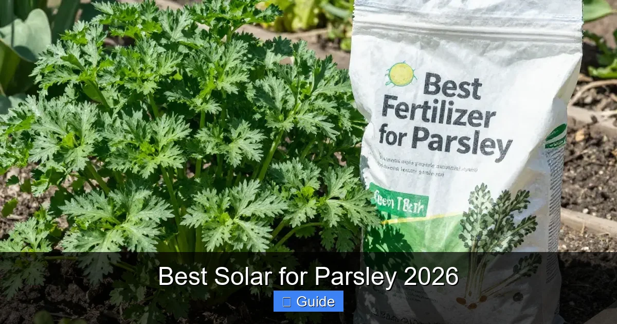 Best Solar for Parsley 2026