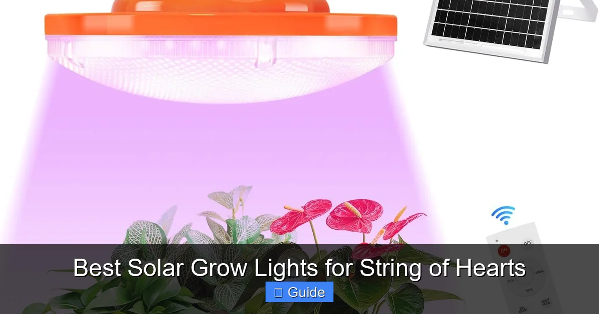 Best Solar Grow Lights for String of Hearts