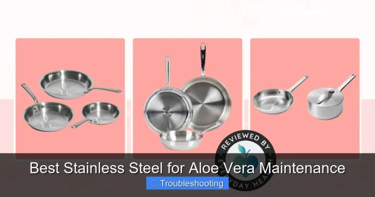 Best Stainless Steel for Aloe Vera Maintenance