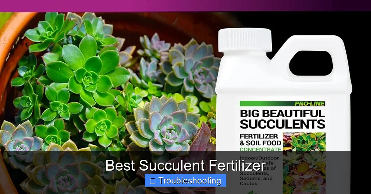 Best Succulent Fertilizer