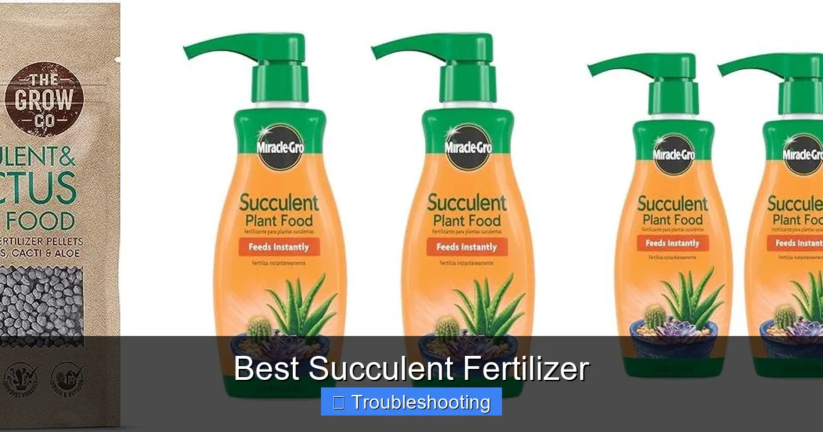 Best Succulent Fertilizer
