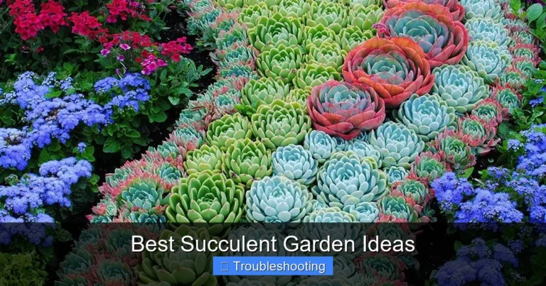 Best Succulent Garden Ideas