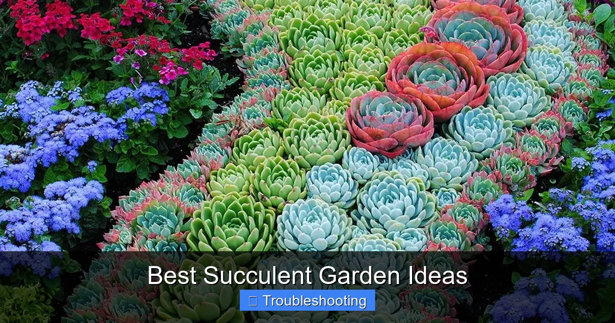 Best Succulent Garden Ideas