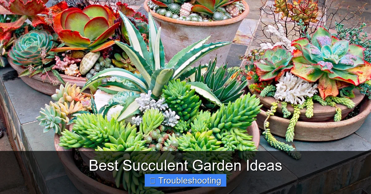 Best Succulent Garden Ideas