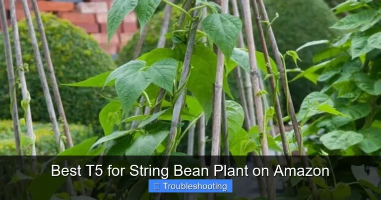 Best T5 for String Bean Plant on Amazon