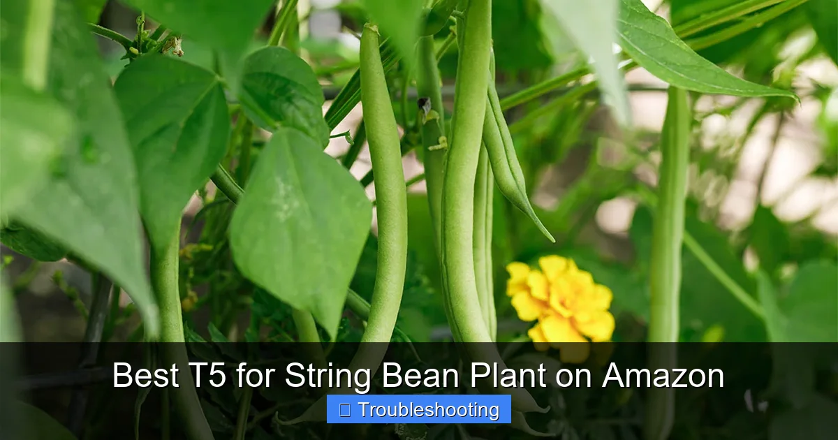 Best T5 for String Bean Plant on Amazon