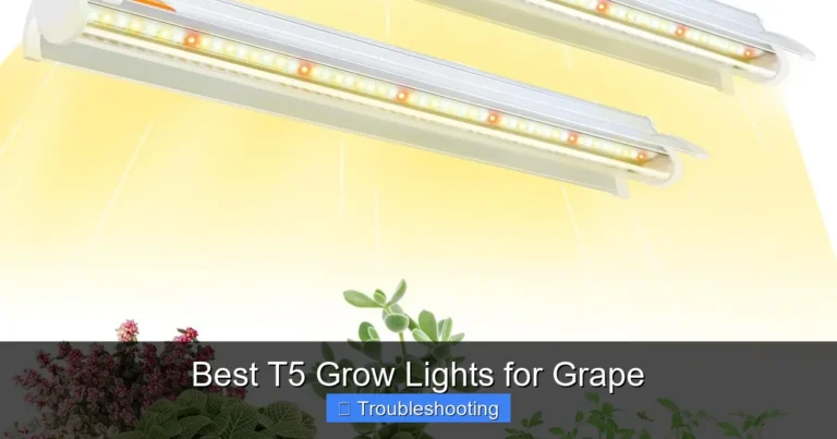 Best T5 Grow Lights for Grape