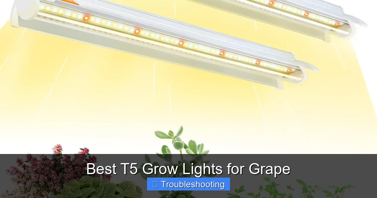 Best T5 Grow Lights for Grape