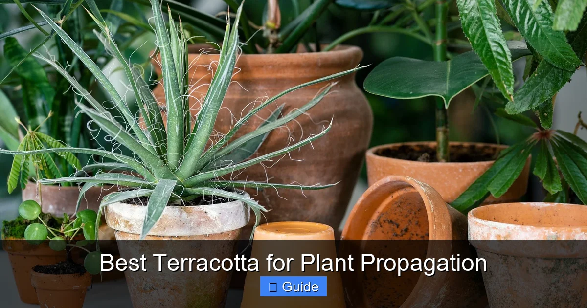 Best Terracotta for Plant Propagation