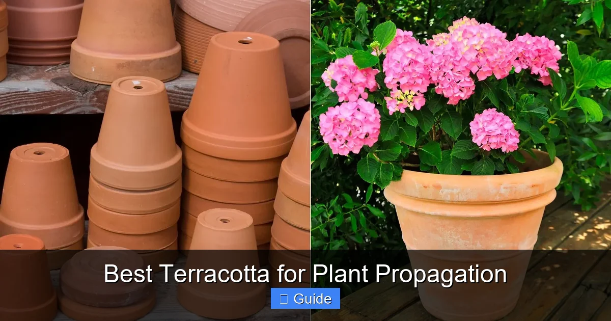 Best Terracotta for Plant Propagation