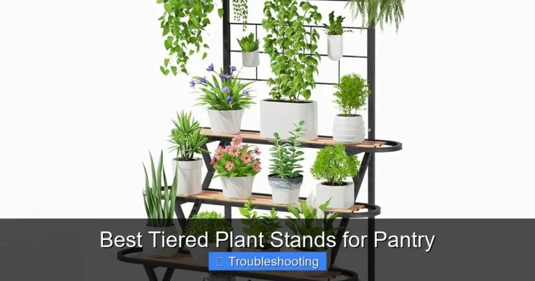 Best Tiered Plant Stands for Pantry