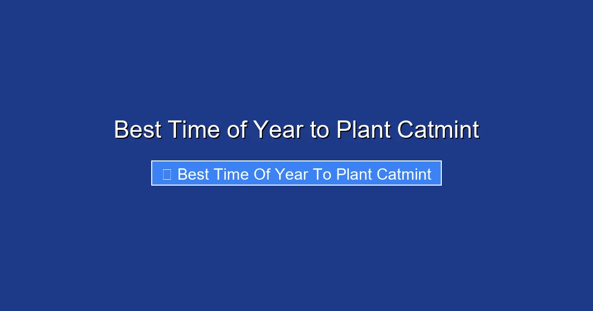 Best Time of Year to Plant Catmint