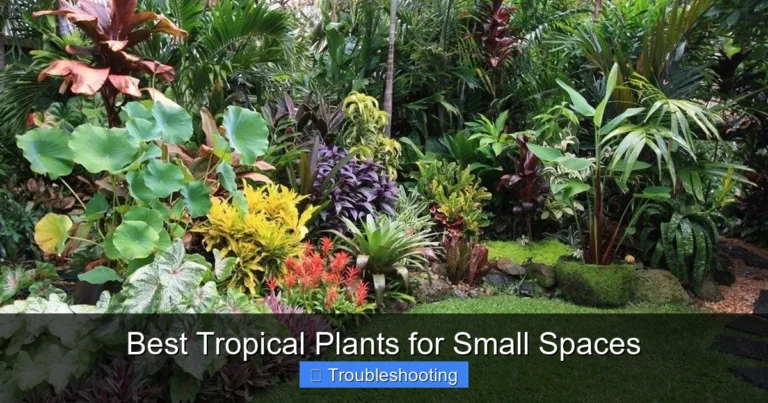 Best Tropical Plants for Small Spaces