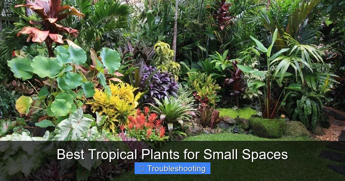 Best Tropical Plants for Small Spaces