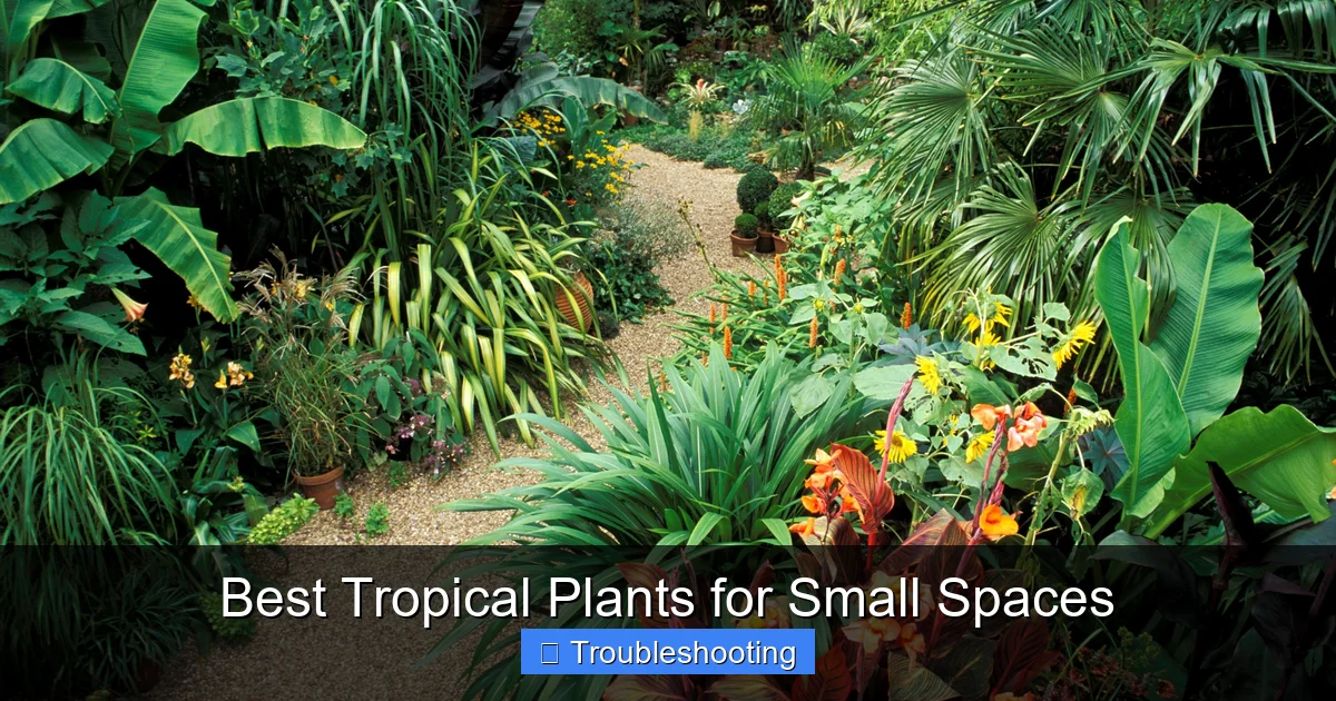 Best Tropical Plants for Small Spaces