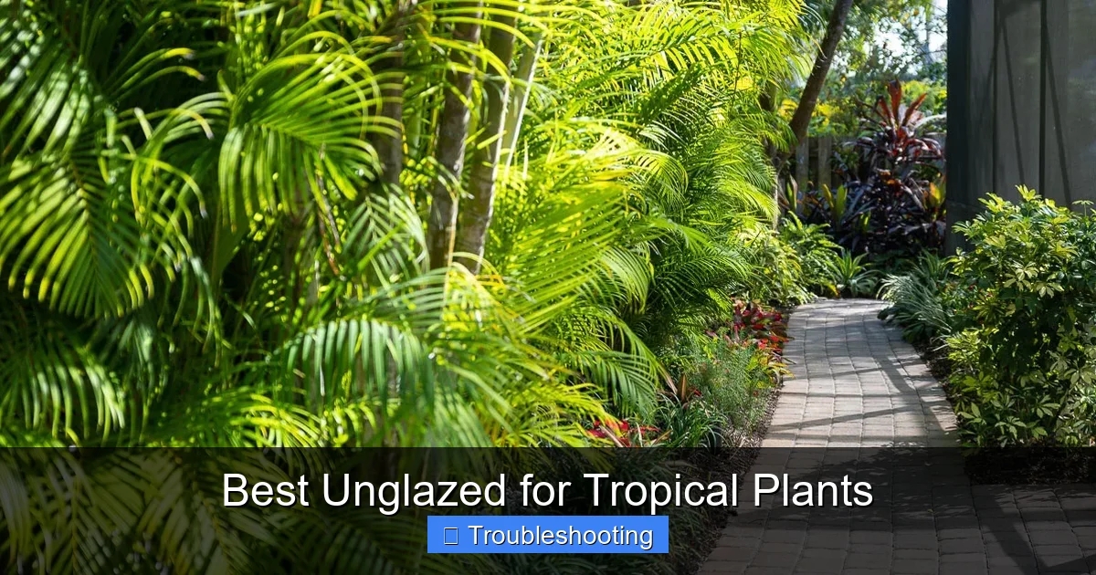 Best Unglazed for Tropical Plants