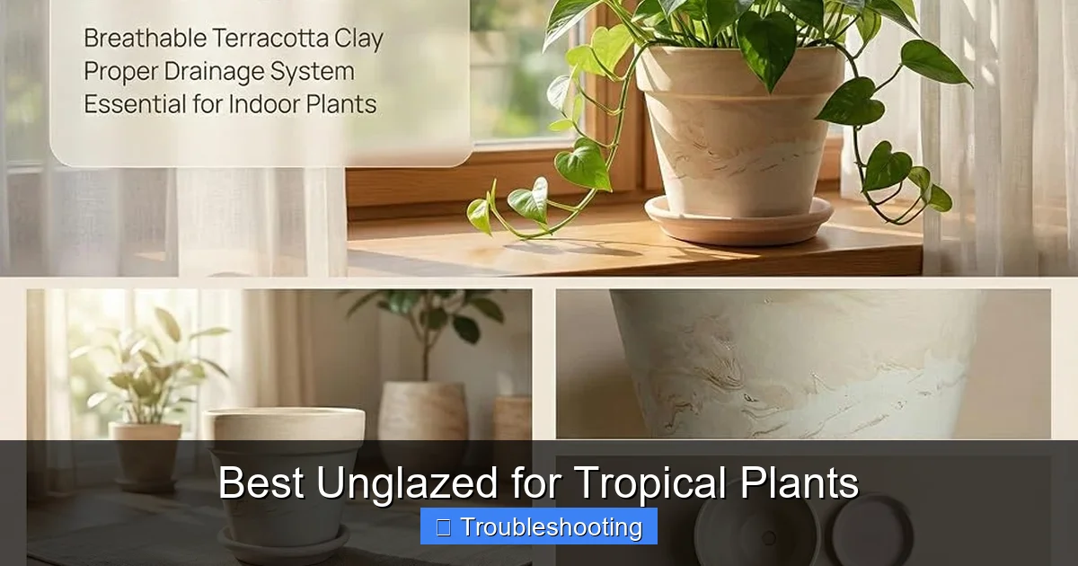 Best Unglazed for Tropical Plants