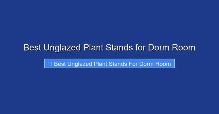 Best Unglazed Plant Stands for Dorm Room