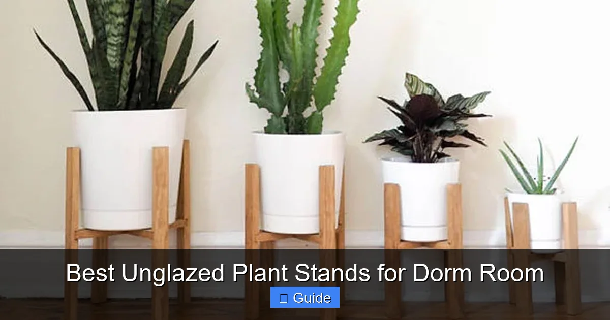 Best Unglazed Plant Stands for Dorm Room