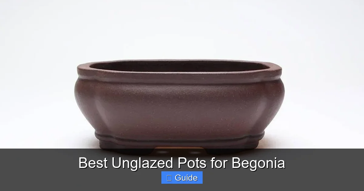 Best Unglazed Pots for Begonia