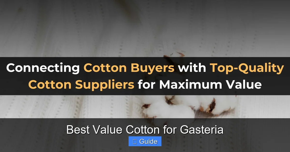 Best Value Cotton for Gasteria
